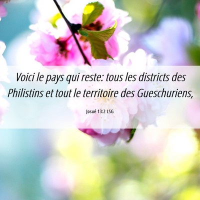 Picture 06 - Josué 13:2 LSG - Voici le pays qui reste: tous les districts des - Bible Verse Picture