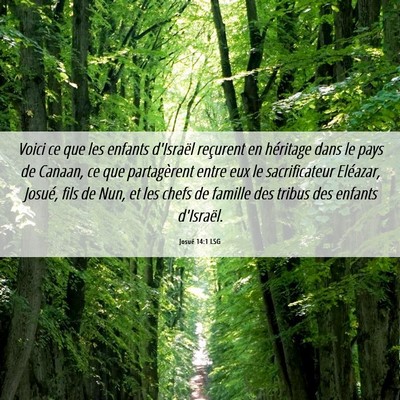 Picture 06 - Josué 14:1 LSG - Voici ce que les enfants d'Israël reçurent en - Bible Verse Picture