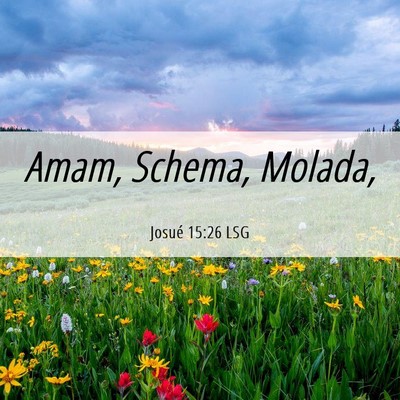 Picture 06 - Josué 15:26 LSG - Amam, Schema, - Bible Verse Picture