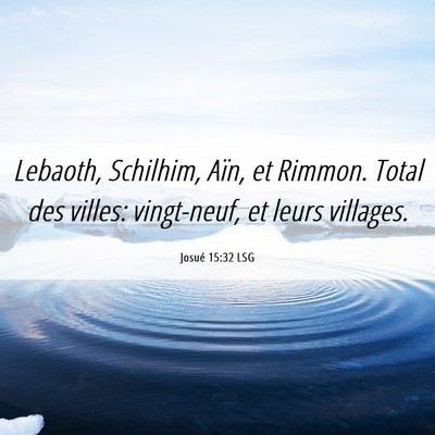 Picture 06 - Josué 15:32 LSG - Lebaoth, Schilhim, Aïn, et Rimmon. Total des - Bible Verse Picture