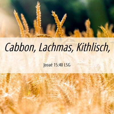 Picture 06 - Josué 15:40 LSG - Cabbon, Lachmas, - Bible Verse Picture