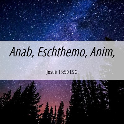 Picture 06 - Josué 15:50 LSG - Anab, Eschthemo, - Bible Verse Picture