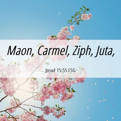 Picture 06 - Josué 15:55 LSG - Maon, Carmel, Ziph, - Bible Verse Picture