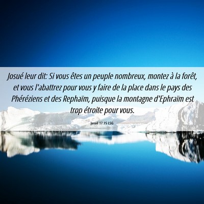 Picture 06 - Josué 17:15 LSG - Josué leur dit: Si vous êtes un peuple - Bible Verse Picture