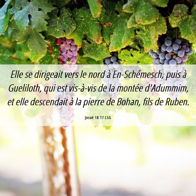 Picture 06 - Josué 18:17 LSG - Elle se dirigeait vers le nord à En-Schémesch, - Bible Verse Picture