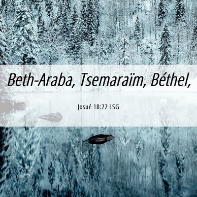 Picture 06 - Josué 18:22 LSG - Beth-Araba, Tsemaraïm, - Bible Verse Picture