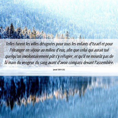 Picture 06 - Josué 20:9 LSG - Telles furent les villes désignées pour tous - Bible Verse Picture