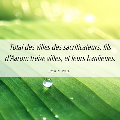 Picture 06 - Josué 21:19 LSG - Total des villes des sacrificateurs, fils - Bible Verse Picture