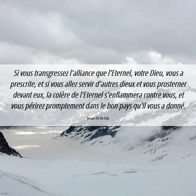 Picture 06 - Josué 23:16 LSG - Si vous transgressez l'alliance que l'Eternel, - Bible Verse Picture