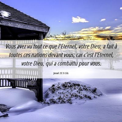 Picture 06 - Josué 23:3 LSG - Vous avez vu tout ce que l'Eternel, votre Dieu, a - Bible Verse Picture