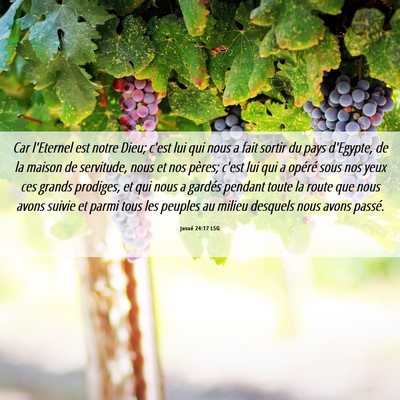 Picture 06 - Josué 24:17 LSG - Car l'Eternel est notre Dieu; c'est lui qui nous - Bible Verse Picture