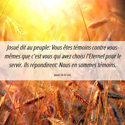 Picture 06 - Josué 24:22 LSG - Josué dit au peuple: Vous êtes témoins contre - Bible Verse Picture