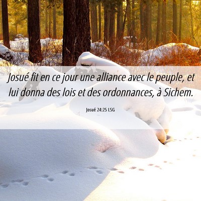 Picture 06 - Josué 24:25 LSG - Josué fit en ce jour une alliance avec le - Bible Verse Picture