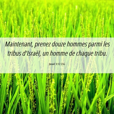 Picture 06 - Josué 3:12 LSG - Maintenant, prenez douze hommes parmi les tribus - Bible Verse Picture