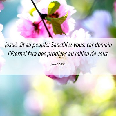 Picture 06 - Josué 3:5 LSG - Josué dit au peuple: Sanctifiez-vous, car demain - Bible Verse Picture