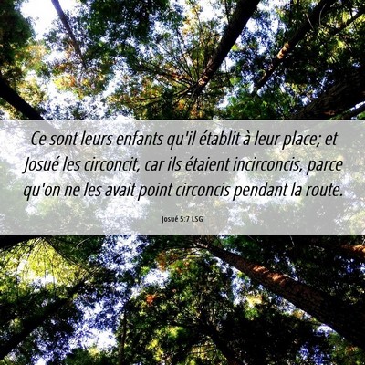 Picture 06 - Josué 5:7 LSG - Ce sont leurs enfants qu'il établit à leur - Bible Verse Picture