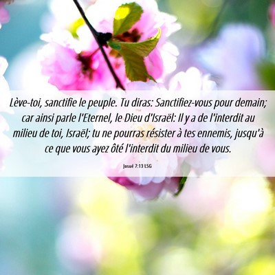 Picture 06 - Josué 7:13 LSG - Lève-toi, sanctifie le peuple. Tu diras: - Bible Verse Picture