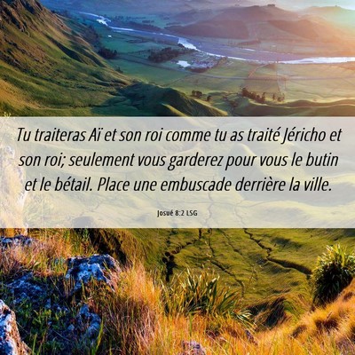 Picture 06 - Josué 8:2 LSG - Tu traiteras Aï et son roi comme tu as traité - Bible Verse Picture