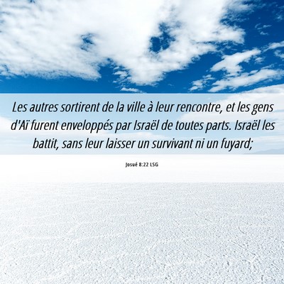 Picture 06 - Josué 8:22 LSG - Les autres sortirent de la ville à leur - Bible Verse Picture