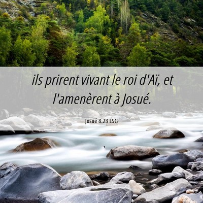 Picture 06 - Josué 8:23 LSG - ils prirent vivant le roi d'Aï, et l'amenèrent - Bible Verse Picture