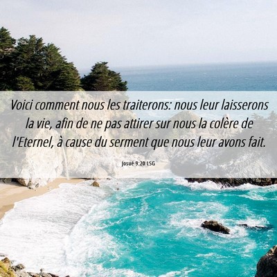 Picture 06 - Josué 9:20 LSG - Voici comment nous les traiterons: nous leur - Bible Verse Picture