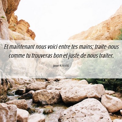 Picture 06 - Josué 9:25 LSG - Et maintenant nous voici entre tes mains; - Bible Verse Picture