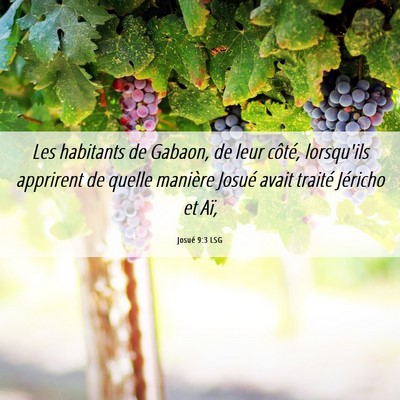 Picture 06 - Josué 9:3 LSG - Les habitants de Gabaon, de leur côté, - Bible Verse Picture