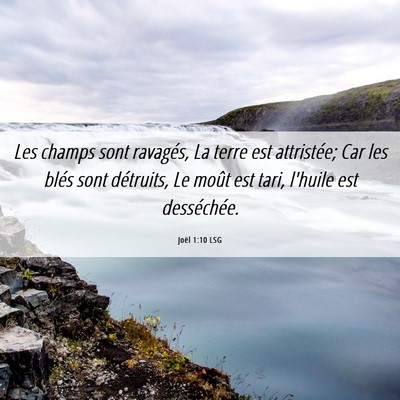 Picture 06 - Joël 1:10 LSG - Les champs sont ravagés, La terre est - Bible Verse Picture