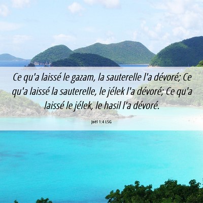 Picture 06 - Joël 1:4 LSG - Ce qu'a laissé le gazam, la sauterelle l'a - Bible Verse Picture