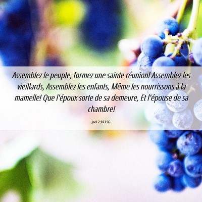 Picture 06 - Joël 2:16 LSG - Assemblez le peuple, formez une sainte réunion! - Bible Verse Picture