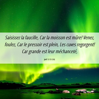 Picture 06 - Joël 3:13 LSG - Saisissez la faucille, Car la moisson est mûre! - Bible Verse Picture