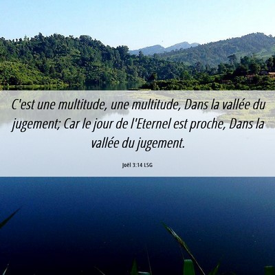 Picture 06 - Joël 3:14 LSG - C'est une multitude, une multitude, Dans la - Bible Verse Picture