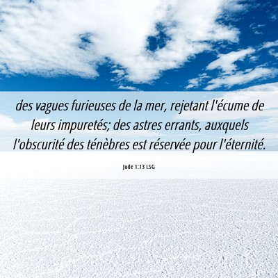 Picture 06 - Jude 1:13 LSG - des vagues furieuses de la mer, rejetant l'écume - Bible Verse Picture