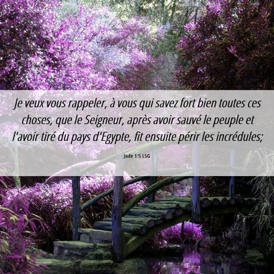 Picture 06 - Jude 1:5 LSG - Je veux vous rappeler, à vous qui savez fort - Bible Verse Picture