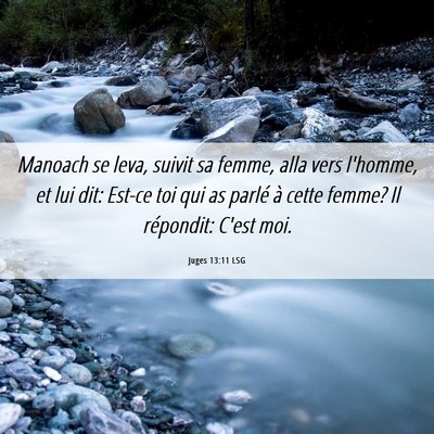 Picture 06 - Juges 13:11 LSG - Manoach se leva, suivit sa femme, alla vers - Bible Verse Picture
