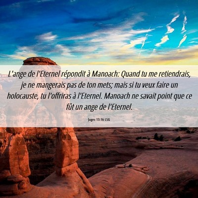 Picture 06 - Juges 13:16 LSG - L'ange de l'Eternel répondit à Manoach: Quand - Bible Verse Picture