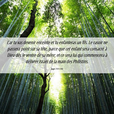 Picture 06 - Juges 13:5 LSG - Car tu vas devenir enceinte et tu enfanteras un - Bible Verse Picture