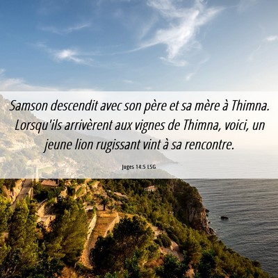 Picture 06 - Juges 14:5 LSG - Samson descendit avec son père et sa mère à - Bible Verse Picture