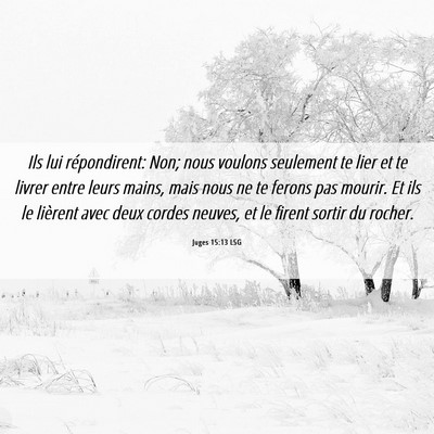 Picture 06 - Juges 15:13 LSG - Ils lui répondirent: Non; nous voulons seulement - Bible Verse Picture