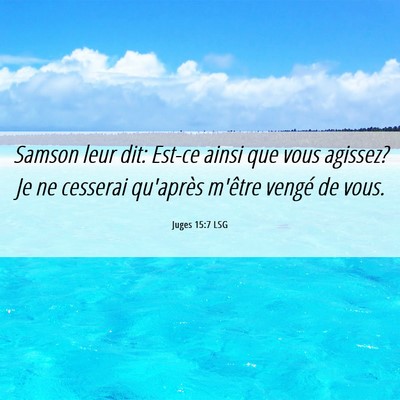 Picture 06 - Juges 15:7 LSG - Samson leur dit: Est-ce ainsi que vous agissez? - Bible Verse Picture