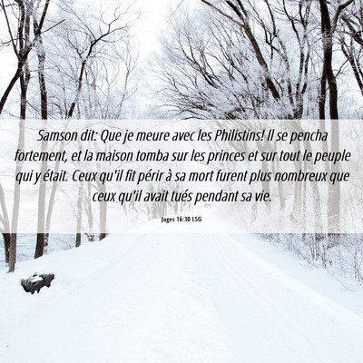 Picture 06 - Juges 16:30 LSG - Samson dit: Que je meure avec les Philistins! Il - Bible Verse Picture