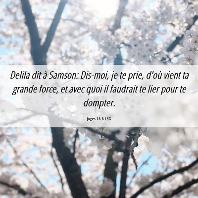 Picture 06 - Juges 16:6 LSG - Delila dit à Samson: Dis-moi, je te prie, d'où - Bible Verse Picture