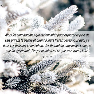Picture 06 - Juges 18:14 LSG - Alors les cinq hommes qui étaient allés pour - Bible Verse Picture