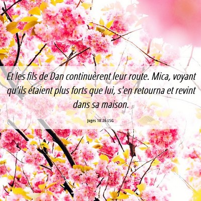 Picture 06 - Juges 18:26 LSG - Et les fils de Dan continuèrent leur route. - Bible Verse Picture
