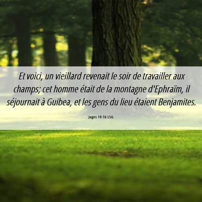 Picture 06 - Juges 19:16 LSG - Et voici, un vieillard revenait le soir de - Bible Verse Picture