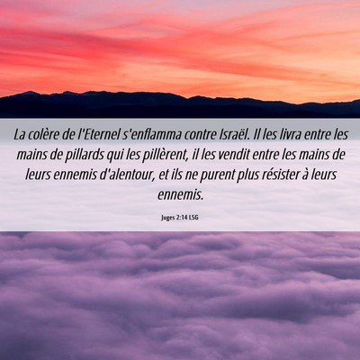 Picture 06 - Juges 2:14 LSG - La colère de l'Eternel s'enflamma contre - Bible Verse Picture