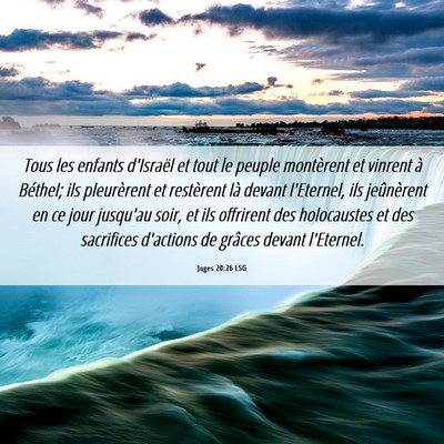 Picture 06 - Juges 20:26 LSG - Tous les enfants d'Israël et tout le peuple - Bible Verse Picture