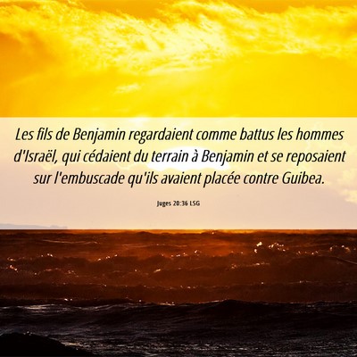 Picture 06 - Juges 20:36 LSG - Les fils de Benjamin regardaient comme battus les - Bible Verse Picture