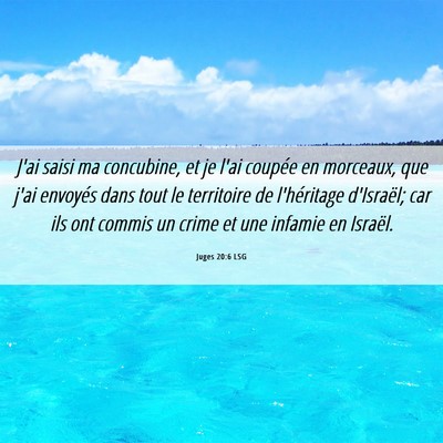 Picture 06 - Juges 20:6 LSG - J'ai saisi ma concubine, et je l'ai coupée en - Bible Verse Picture
