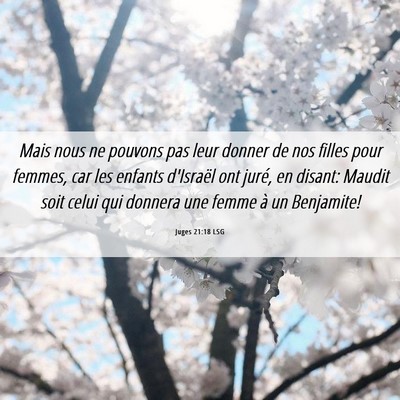 Picture 06 - Juges 21:18 LSG - Mais nous ne pouvons pas leur donner de nos - Bible Verse Picture